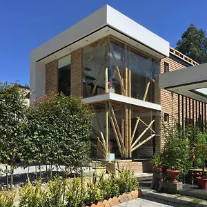Bambú Sierra Cozzy Ecológical Lofts Cuenca